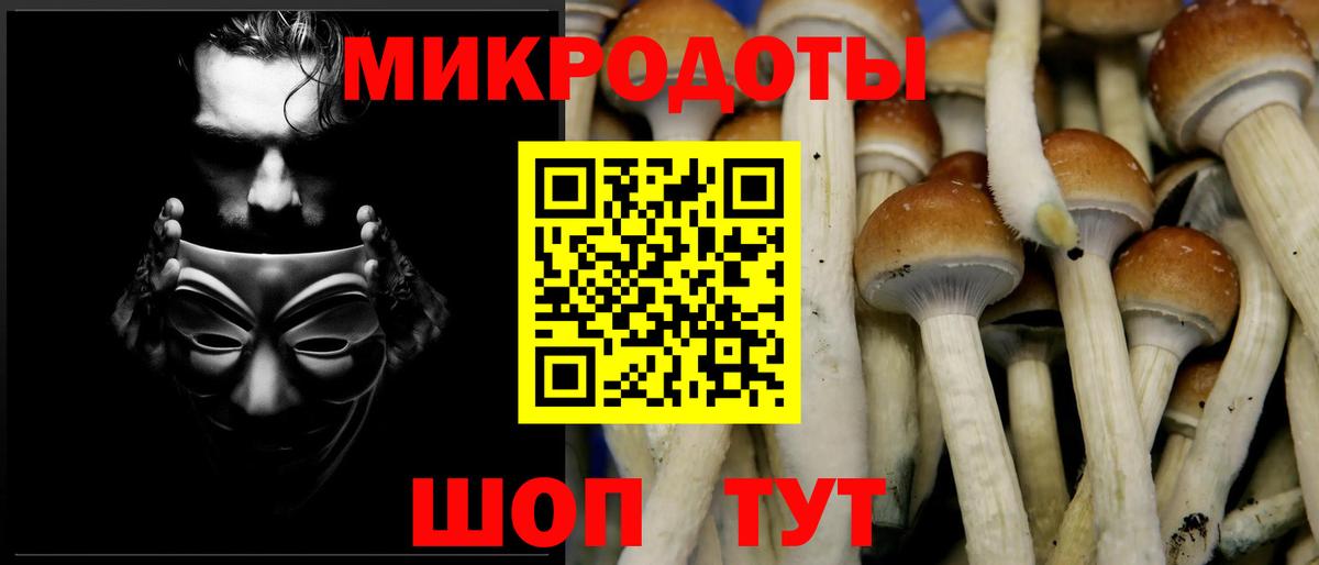 Псилоцибиновые грибы мухоморы  Галлюциногенные грибы Psilocybine cubensis  Вход с VPN  Донецк 
